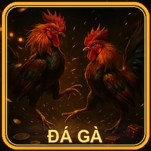 Đá gà trực tiếp C2 - Các trận đấu gà kịch tính