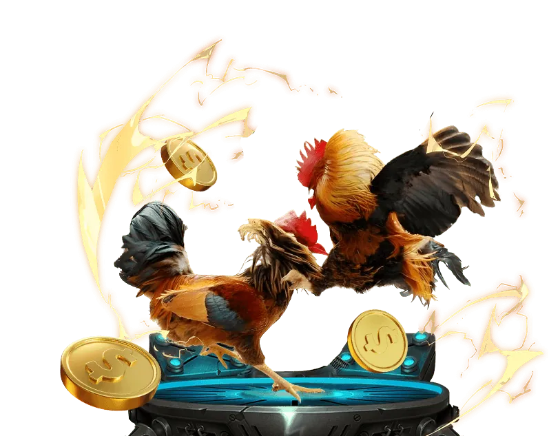 Hỗ trợ khách hàng và bảo mật